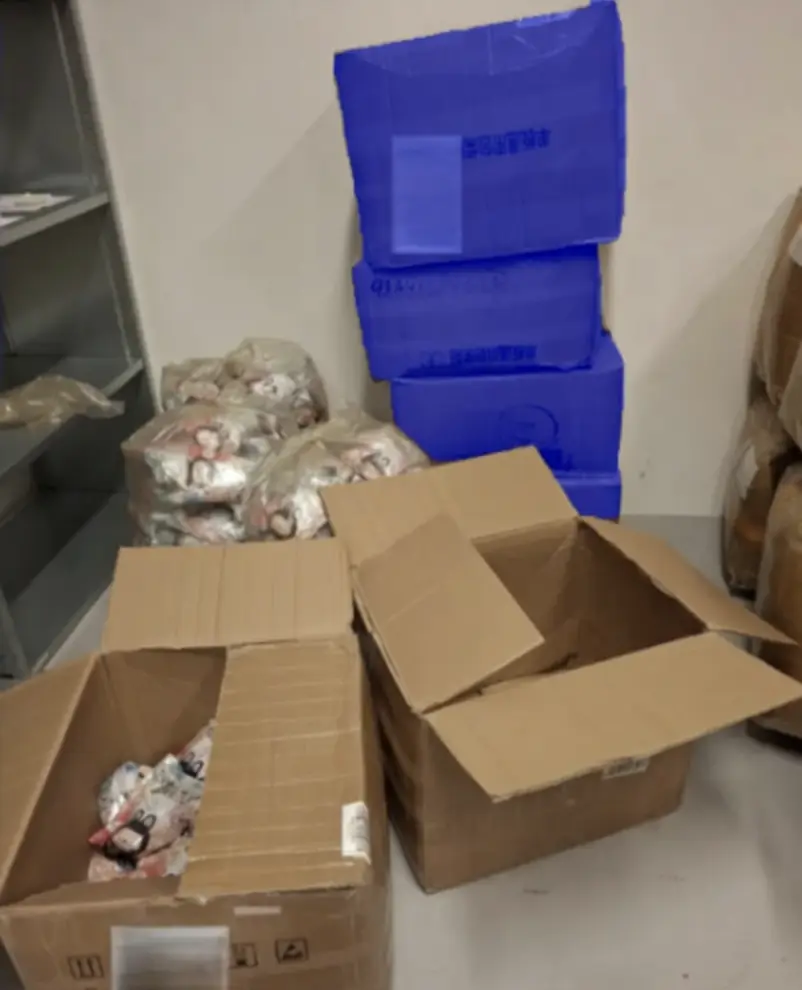صورة من مصادرات الجمارك الدنماركية لدمى لابوبو المقلدة داخل صناديق كرتونية